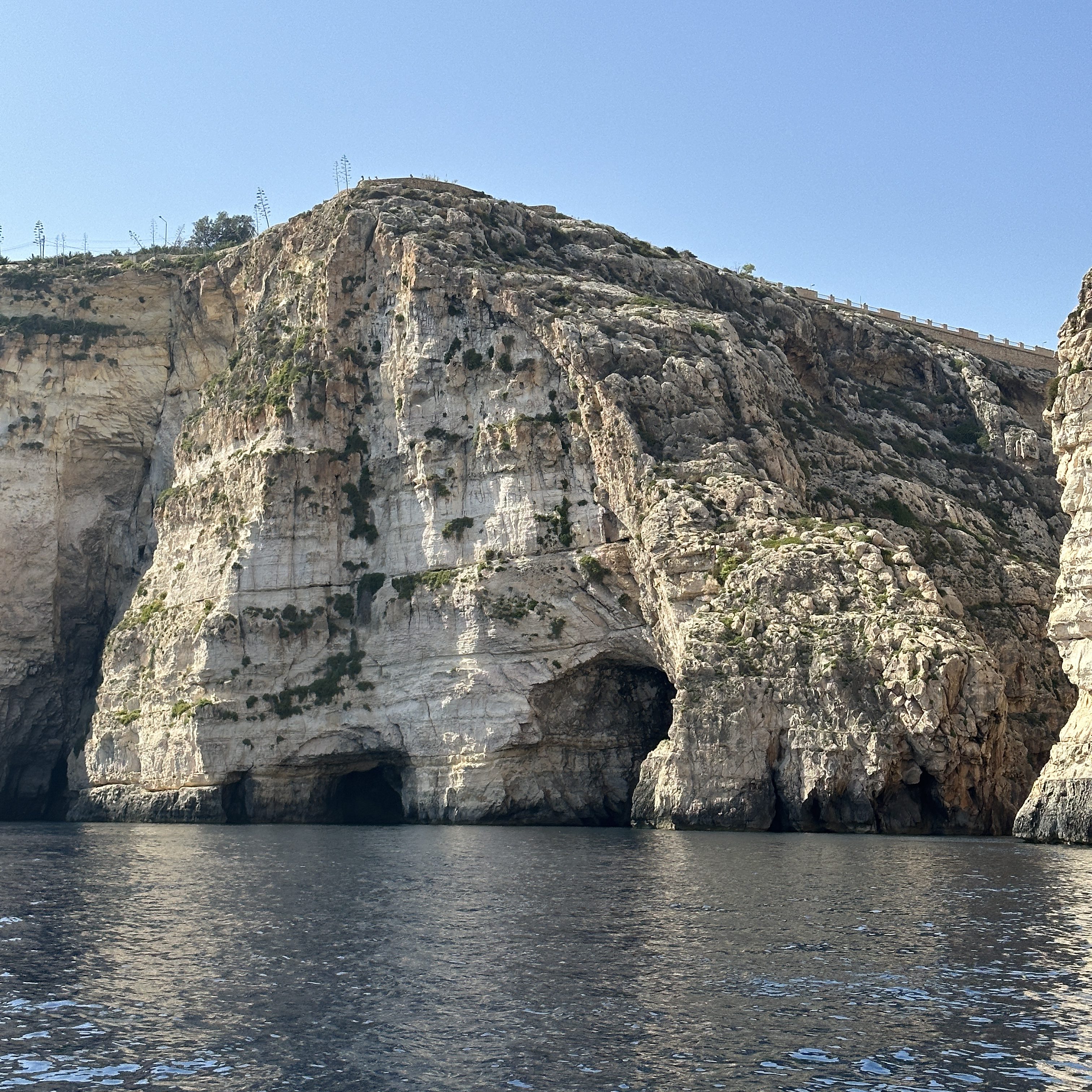 This image has an empty alt attribute; its file name is img_6369-edited.jpg